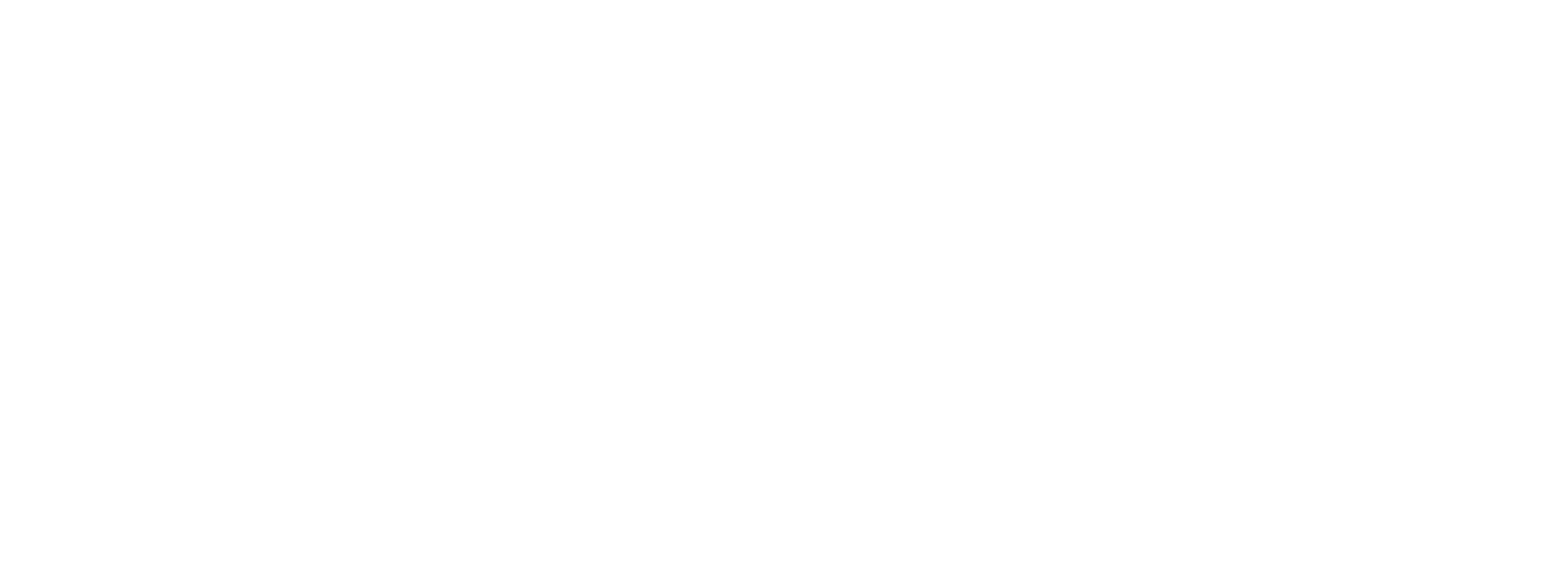 Wheels India Limited